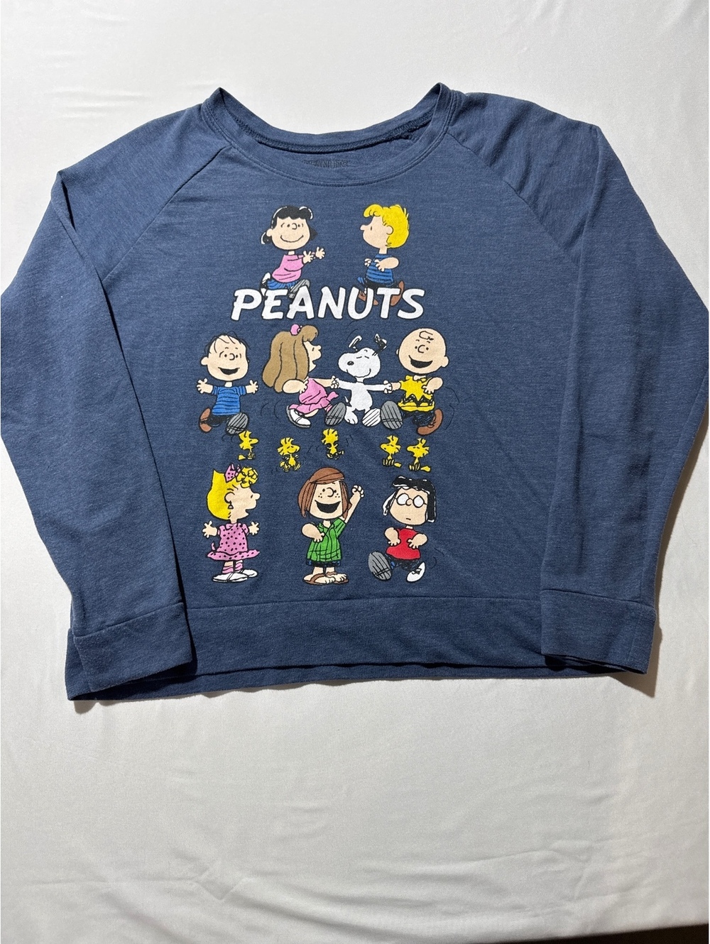 Peanuts Medium Blue Crewneck Sweatshirt with Classic Cartoon